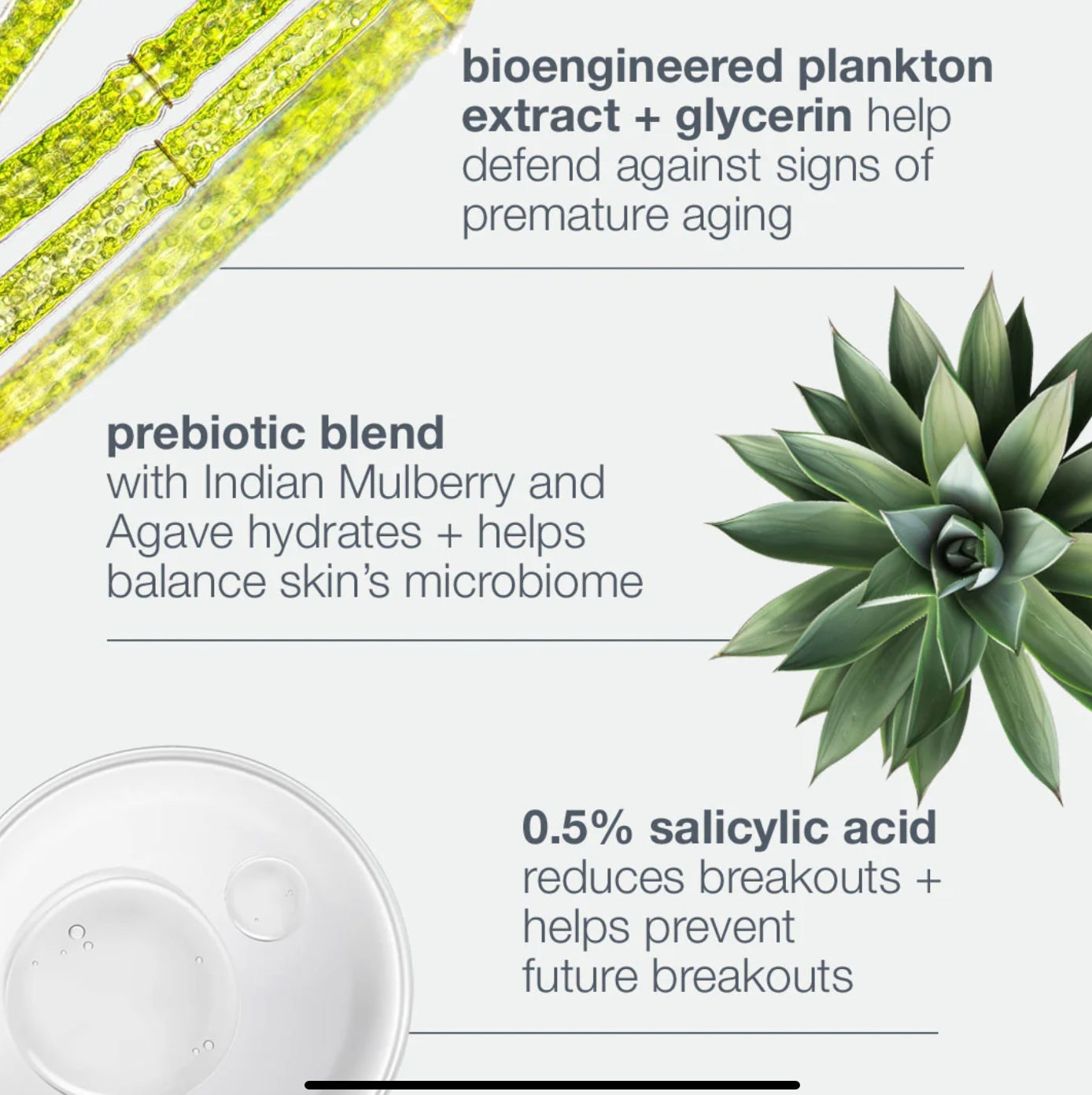 Breakout Biotic Moisturiser