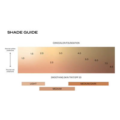 Smoothing Skin Tint SPF20 - Light